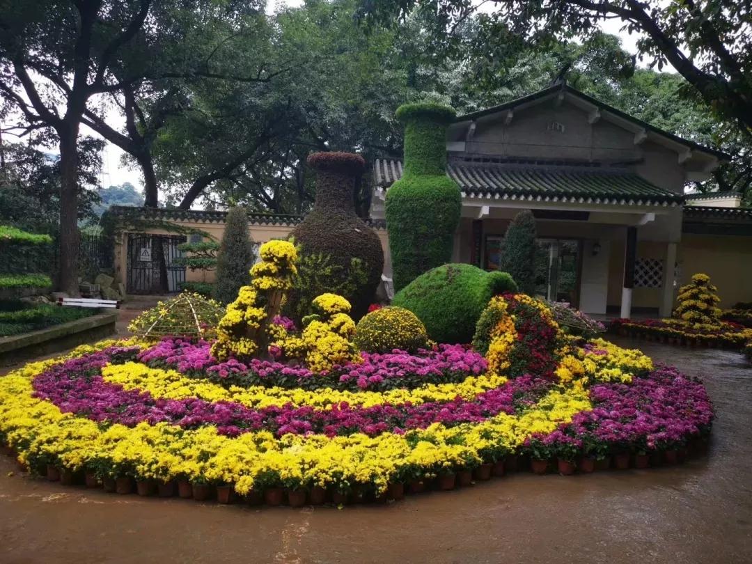 2020年鵝嶺公(gōng)園秋季菊展項目